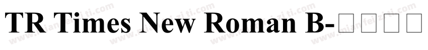 TR Times New Roman B字体转换